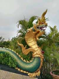 กราบพระขอพรให้ชีวิตมีความสุขที่วัดวีระโชติธรรมาราม