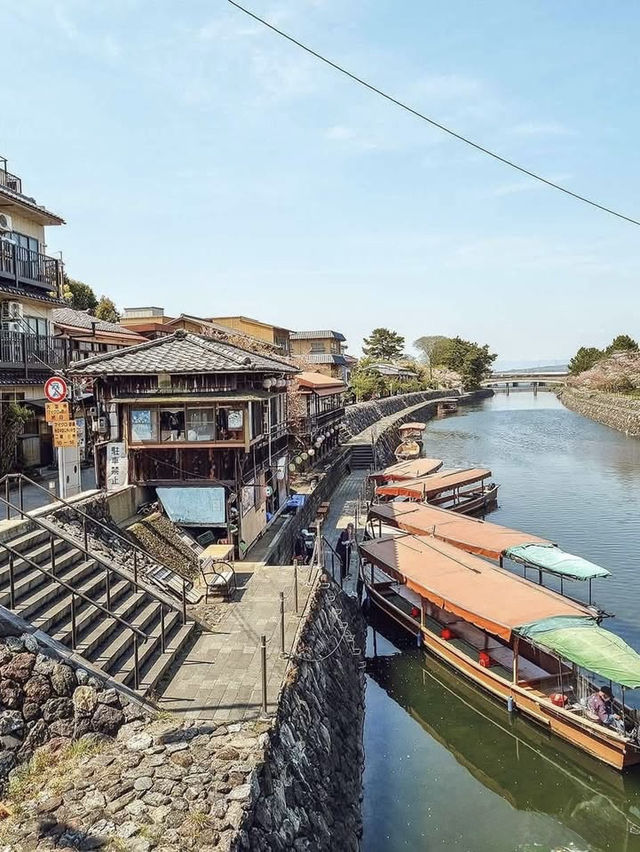 A Serene Weekend in Uji: Cherry Blossoms, Matcha & Timeless Beauty