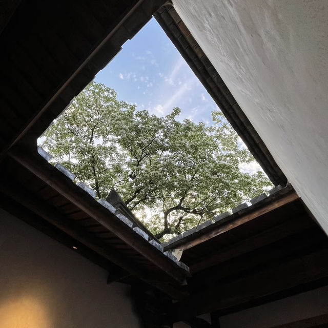 絲原家庭園～美麗的日本庭院