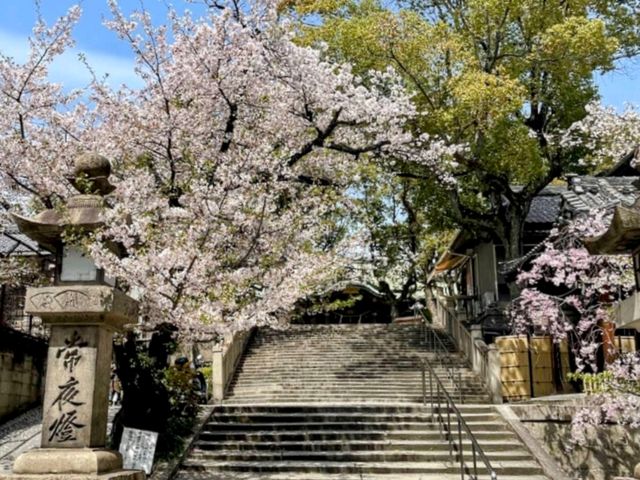 大阪道頓堀15分鐘的私房賞櫻景點---高津宮&高津公園