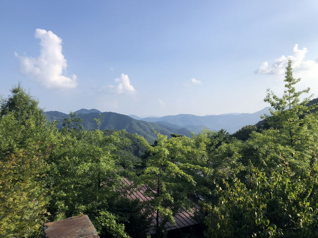 제천에서 만나는 힐링 여정🍂 묵은지 닭도리탕부터 성지 산책, 숲속 리조트까지