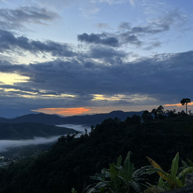 Discover the beauty of Indigo Hill Resort at Raub Pahang 