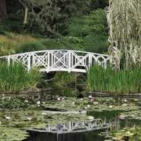Tranquil Retreat – Royal Tasmanian Botanical Gardens