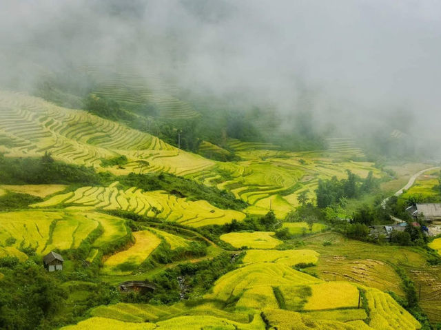 Fanxipang