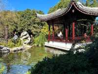 Chill Garden Vibes by the Lake