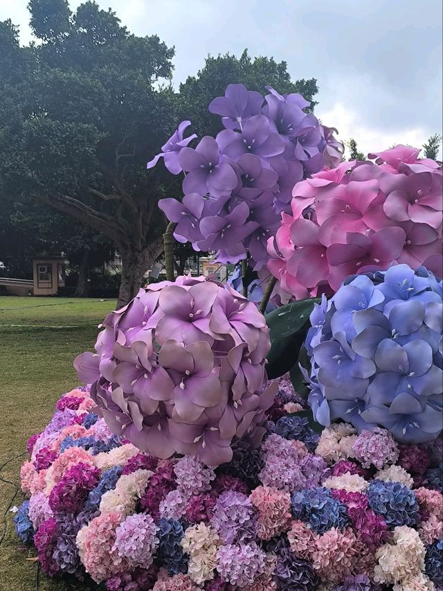 屯門黃金海岸繡球花節