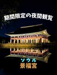 【ソウル】期間限定のライトアップを楽しむ