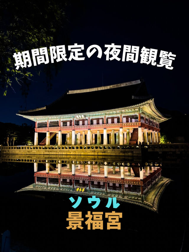 【ソウル】期間限定のライトアップを楽しむ