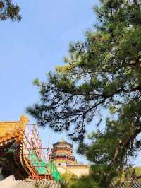 春遊：頤和園的春意