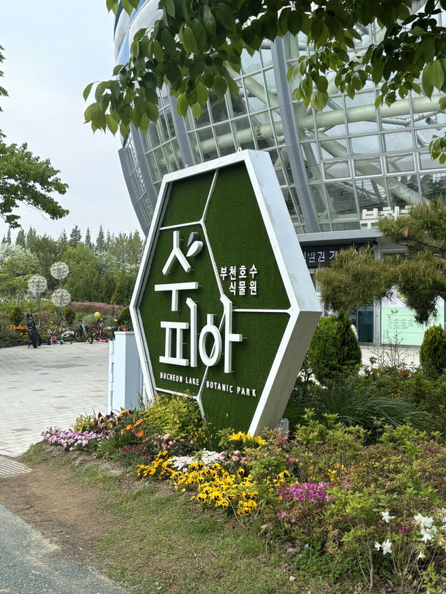 부천의 핫플 식물원!