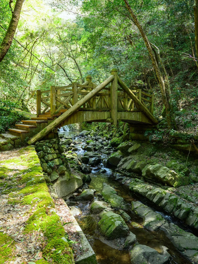 Hidden Hiking Gem Near Osaka – Inunaki-yama Day Trip Before Your Flight!