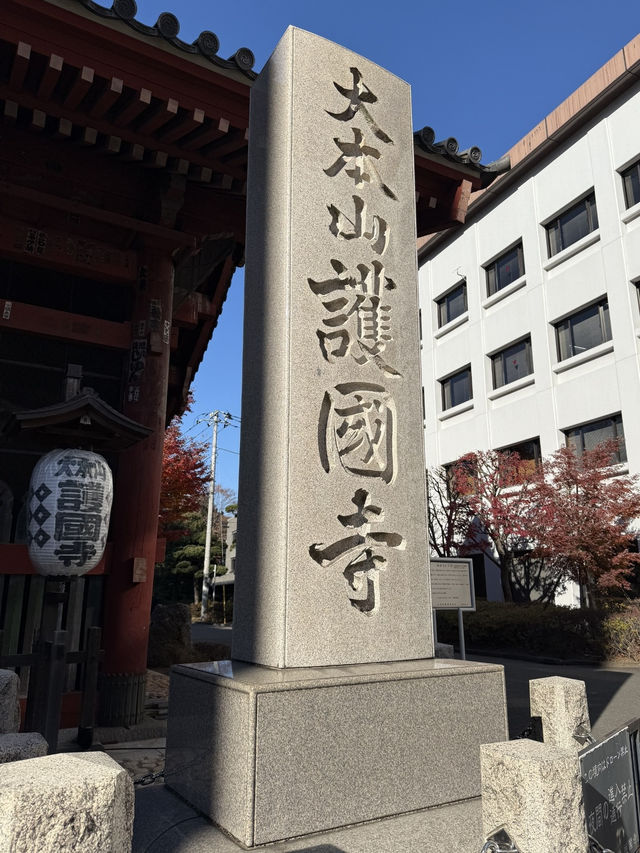 A Chill Weekend in Myogadani, Bunkyo City, Tokyo