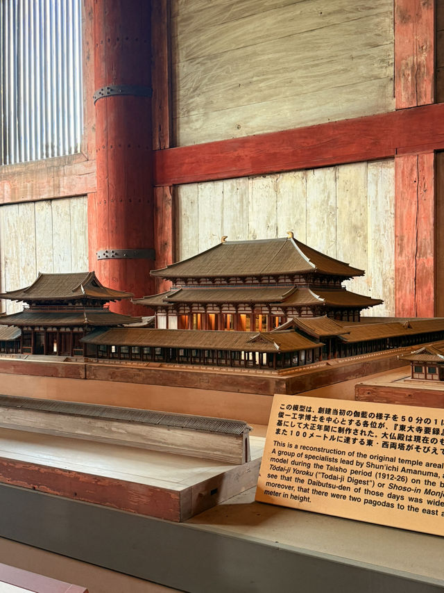 奈良｜5層樓高莊嚴大佛 到聖武天皇蓋的東大寺感受千年歷史