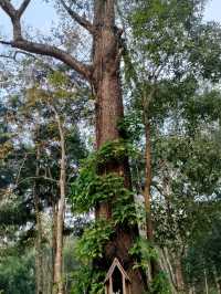 อุทยานแห่งชาติขุนขาน