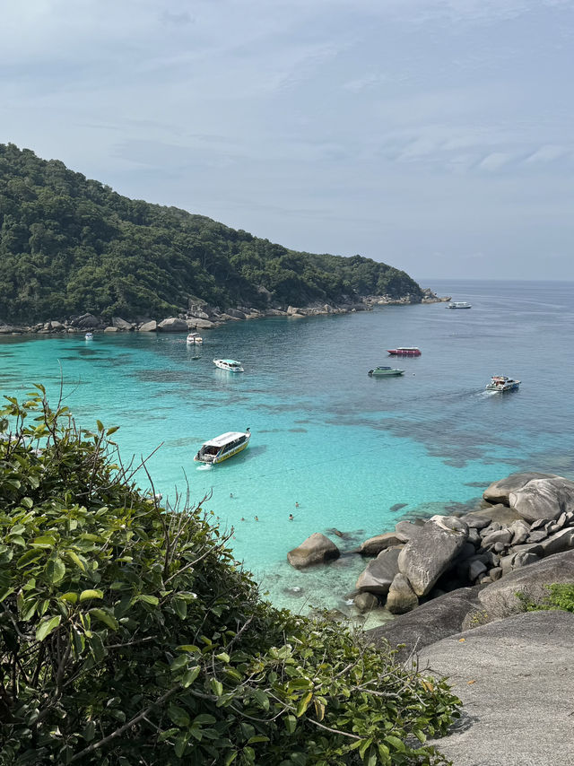 여기가 지상낙원아닌가요...?🏝️
