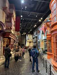 Wand Shops and Wizarding Wonders: Diagon Alley