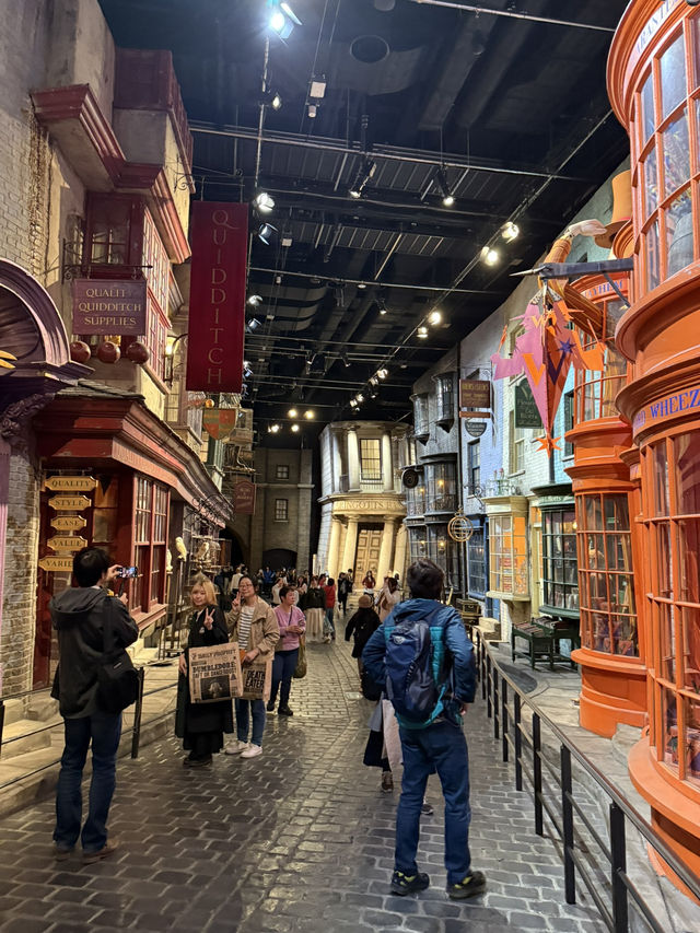 Wand Shops and Wizarding Wonders: Diagon Alley