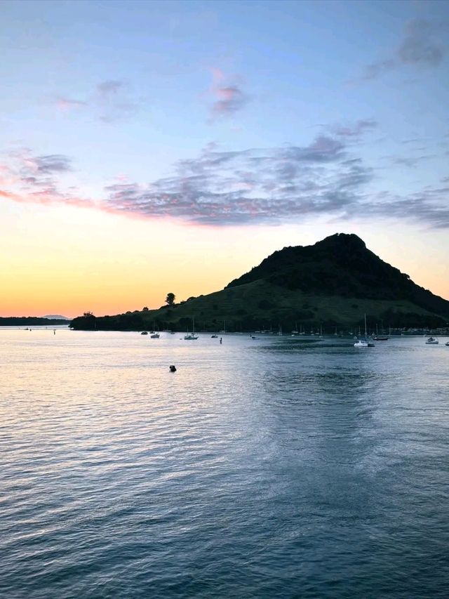 Tauranga – Where Coastal Charm Meets Adventure