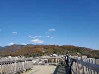 石垣の上からの景色が🙆