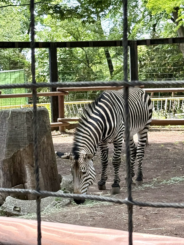 📍 夢見ヶ崎動物公園/神奈川