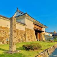 MAIZURU PARK | CHERRY BLOSSOMS AROUND FUKUOKA CASTLE RUINS 🌸🏯✨