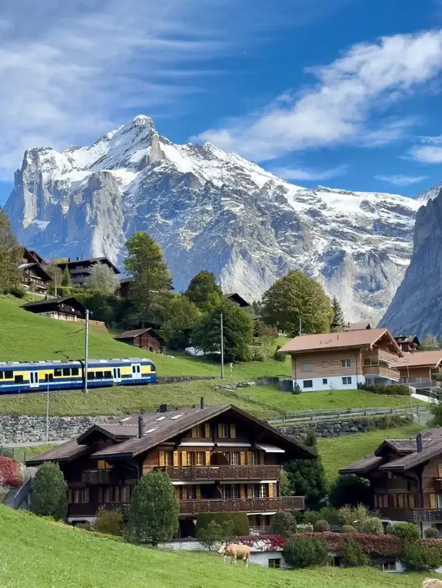 เนินเขาในฝันแห่งกรินเดลวัลด์｜Dreamy Hillside in Grindelwald