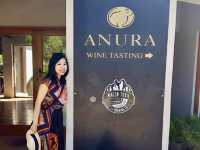 Wine Tasting in Franschhoek 🇿🇦: Travel Tips