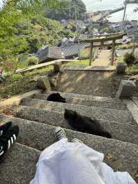 港女五日四夜暴走高松，一日玩三個景點 小丸子都去金多比羅神社，草間彌生南瓜，四國水族館