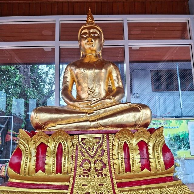 ชมความหลากหลายทางวัฒนธรรมที่วัดศาลเจ้า