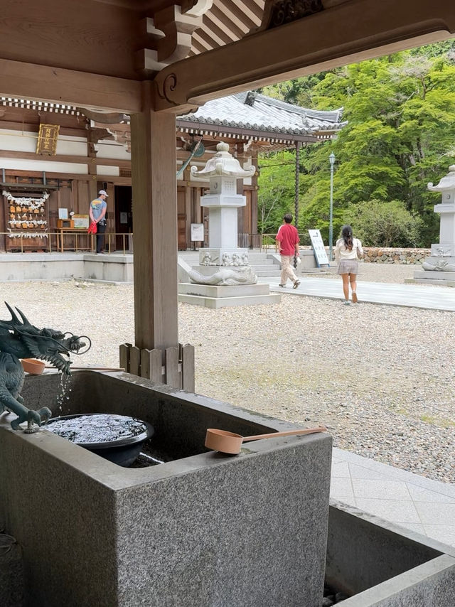 A Peaceful Escape to Minoh park.