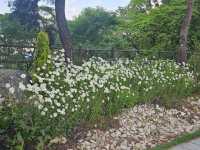 Namsan Park: The Road Less Traveled to Seoul Tower