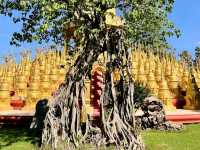 วัดป่าสว่างบุญ สร้างขึ้นบนพื้นที่กว่า 400 ไร่ 