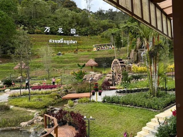 Winter Flower Garden, Betong - A Dreamy Floral Wonderland in Southern Thailand