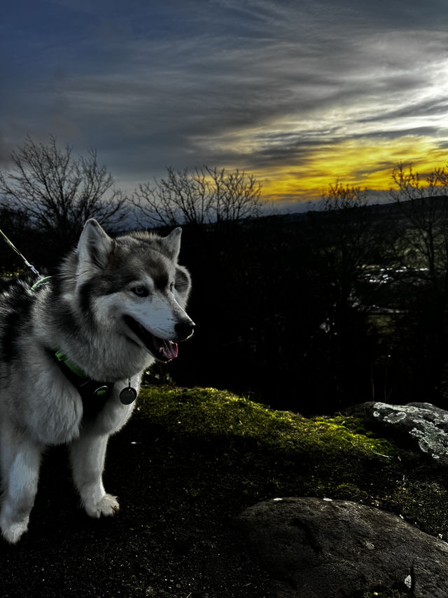 The KELPIES: a must-do in Scotland 