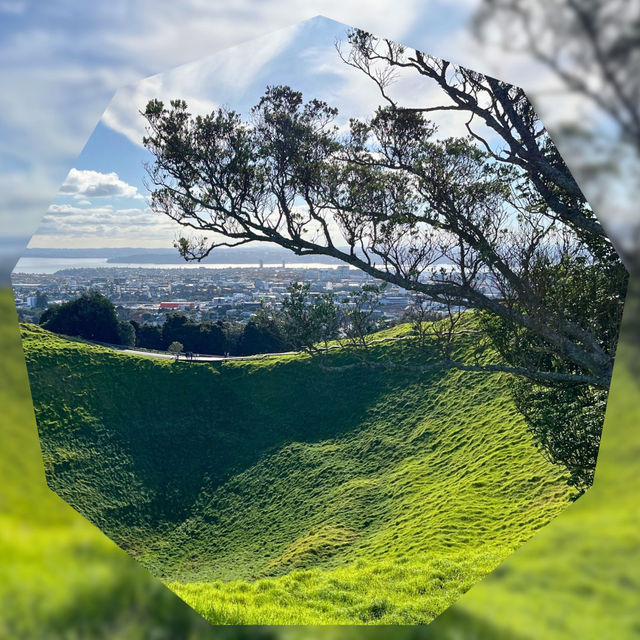 【NZ】🌿オークランド観光1日モデルコース🌊✨