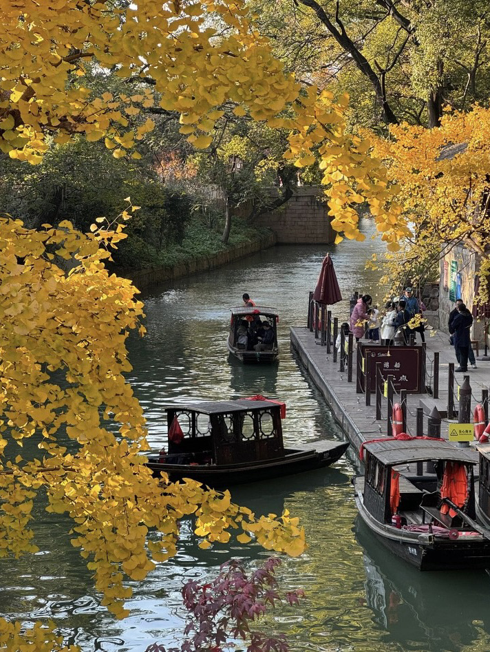 #端午節好去處

蘇州，這座美麗的江南水鄉，以其古典園林、悠久的歷史和豐富的文化底蘊而聞名。無論是漫步在古色古香的平江路，還是欣賞拙政園的精緻景色，都能讓你感受到這座城市的獨特魅力。此外，蘇州的美食也是一大亮點，從傳統的松鼠桂魚到現代的創意蘇幫菜，每一口都能讓你回味無窮。
遊玩順序和行程安排：
Day 1：拙政園→蘇州博物館→平江路→觀前街
Day 2：留園→西園寺→東方之門→金雞湖
Day 3：獅子林→山塘街
Day 4：周莊古鎮
Day 5：蘇州老街巷&自由活動
必玩景點🏞️
1. 拙政園：蘇州古典園林的代表，景色美麗，設計精巧，是蘇州必去的景點之一。
2. 蘇州博物館：由貝聿銘設計，建築本身就是一個藝術品，內部收藏有眾多珍貴的文物和藝術品。
3. 留園：典型的江南園林，以建築藝術精湛著稱，是蘇州園林中的又一瑰寶。
4. 獅子林：蘇州四大名園之一，以假山聞名，可以在這裡數石獅子、鑽石頭迷宮。
5. 周莊古鎮：水鄉古橋美景，體驗原汁原味的江南風情。
必吃美食🍜
1. 松鼠鱖魚：蘇州的傳統名菜，形狀似鼠，外脆里嫩，酸甜可口。
2. 海棠梅花糕：蘇州的特色小吃，形如梅花，入口甜而不膩，軟脆適中。
3. 䰾肺湯：蘇州的傳統菜，魚肝肥嫩，魚肉細膩，湯清味美。
4. 楓鎮大面：蘇州的特色名點，採用優質五花肉，面湯鮮美，燜肉細嫩。
5. 碧螺蝦仁：用新碧螺春的清香茶汁作為調料，與河蝦仁一起烹調而成，茶香味鮮，清淡爽口。
住宿攻略🏨
推薦住在平江路或觀前街附近，交通便利，周邊美食眾多，可以感受一下夜晚安靜下來的江南古街。以下是幾家推薦的酒店/民宿：
• 長風歸隱酒店（蘇州拙政園平江路店）周邊方便，環境優雅。
• 蘇州拙政世家酒店（觀前街拙政園店）周邊方便，近景區。
• 清雅賢居.六號小院（觀前街平江路店）乾淨衛生，房間不錯。
• 瀾捨庭院民宿環境優雅，安靜舒適，位於同里古鎮內。
交通攻略🚗
蘇州的交通非常方便，可以選擇地鐵、公交、出租車或者共享單車等交通方式。在市區內遊覽，可以選擇步行或者騎行，感受城市的古老韻味。如果需要前往周莊等古鎮，可以選擇乘坐旅遊巴士或者打車。   