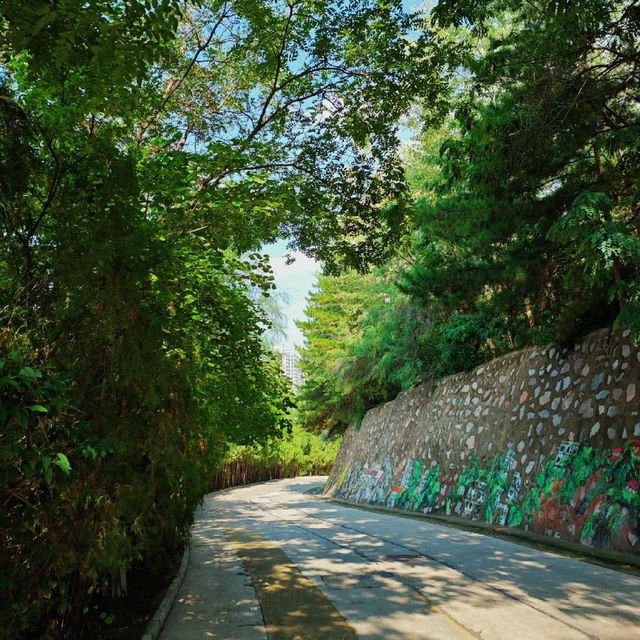 ~離塵小憩~歇馬公園~