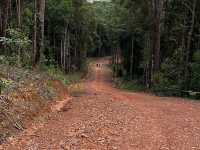 Panbil Nature Reserve: A Thrilling Jungle Workout with Stunning Rewards