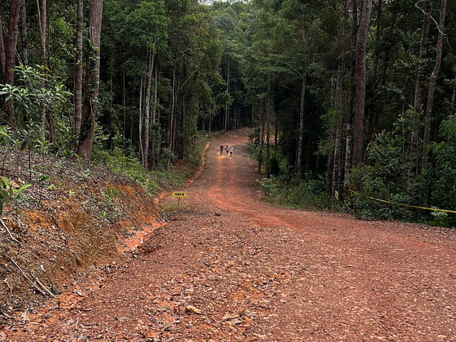 Panbil Nature Reserve: A Thrilling Jungle Workout with Stunning Rewards