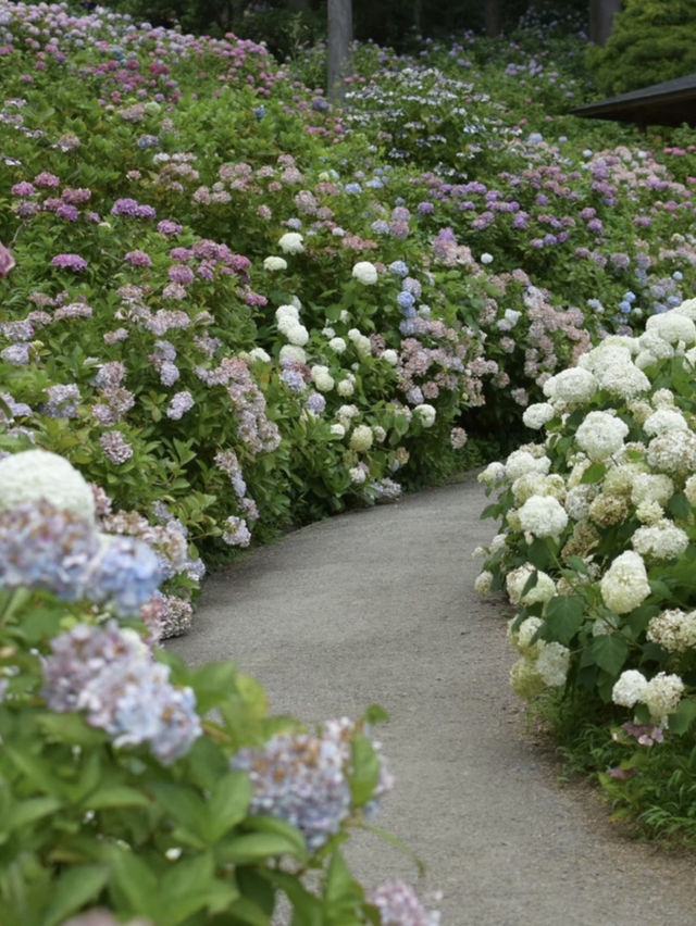千葉のオススメ　お花スポット2選