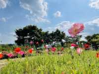 The Mogamigawa Furusato Park