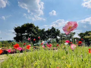 The Mogamigawa Furusato Park