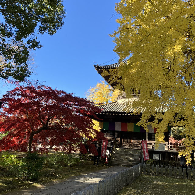 日本遺産にもなった！