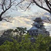 岡山城に行ってきました‼️