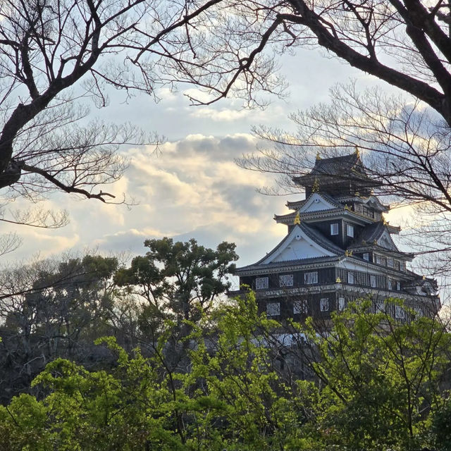 岡山城に行ってきました‼️