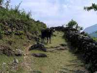 Epic Trek, Crazy Views, and Total Adventure