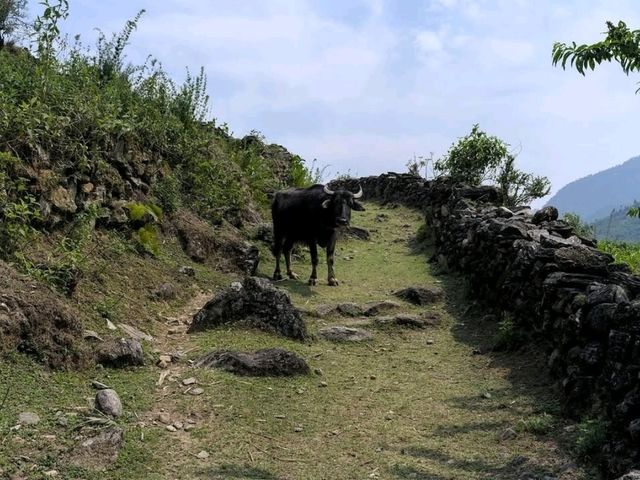 Epic Trek, Crazy Views, and Total Adventure