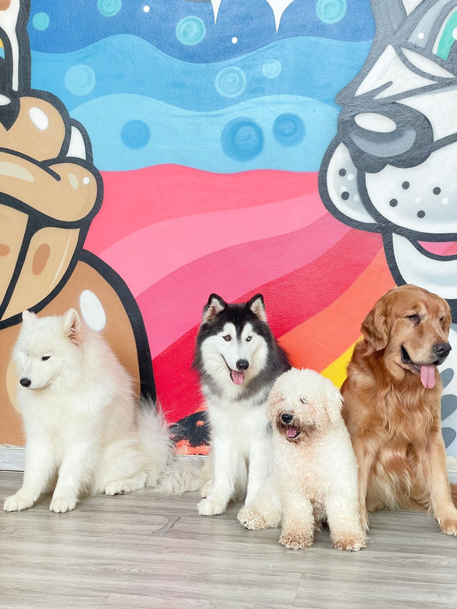 คาเฟ่น้องหมา พัทยา ฟินมากกก! 🐶