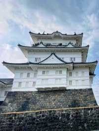 Odawara Castle – A Samurai Stronghold with Scenic Views