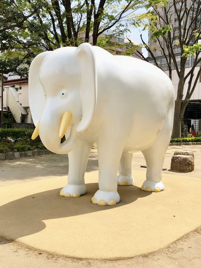 A Slow & Sweet Stroll in Nerima, Tokyo🦒